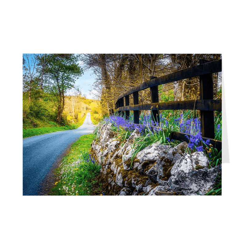 Folded Note Cards - Bluebell-lined County Clare Road - James A. Truett - Moods of Ireland - Irish Art