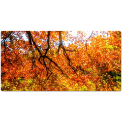 Desk Mat - Under the Autograph Tree at Coole Park, County Galway - James A. Truett - Moods of Ireland - Irish Art