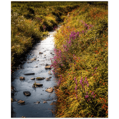 Print - Late Summer Symphony of Colours, County Clare - Moods of Ireland