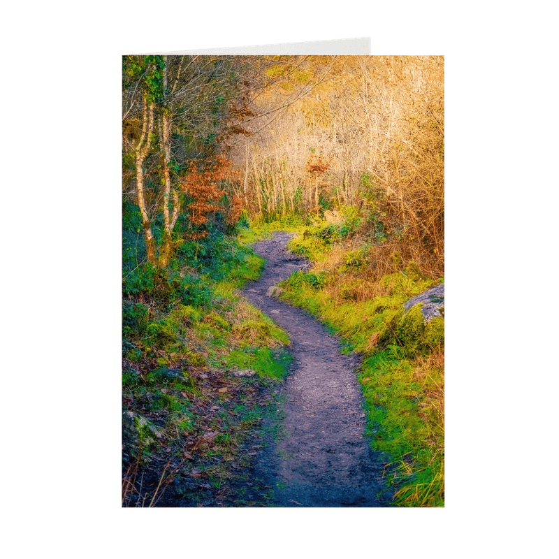 Folded Note Cards - Emerging from Winter, Dromore Wood, County Clare - James A. Truett - Moods of Ireland - Irish Art