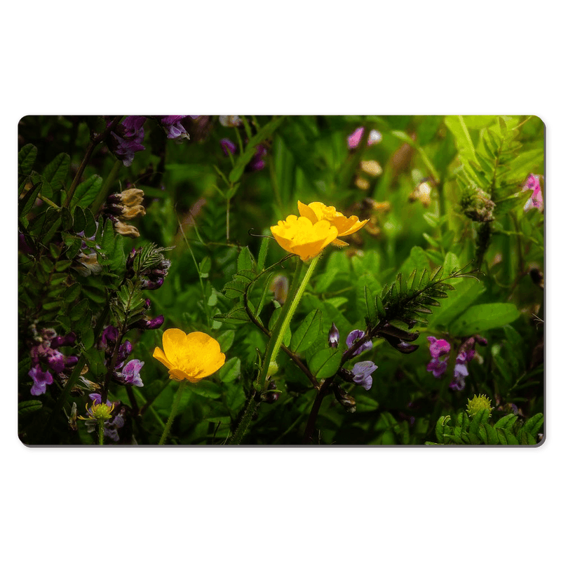 Desk Mat - Buttercups and other Wildflowers, County Clare - James A. Truett - Moods of Ireland - Irish Art