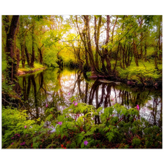 Print - Streamstown River Reflections, County Galway