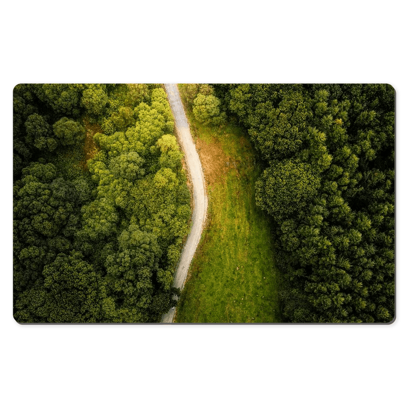 Desk Mat - Forest Path at Lough Graney, County Clare - James A. Truett - Moods of Ireland - Irish Art