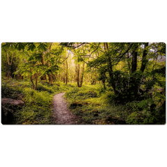 Desk Mat - Path in the Faerie Forest at Ballylee, County Galway - James A. Truett - Moods of Ireland - Irish Art