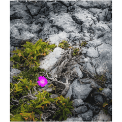 Shower Curtain - Lone Wildflower in the Burren Limestone - James A. Truett - Moods of Ireland - Irish Art