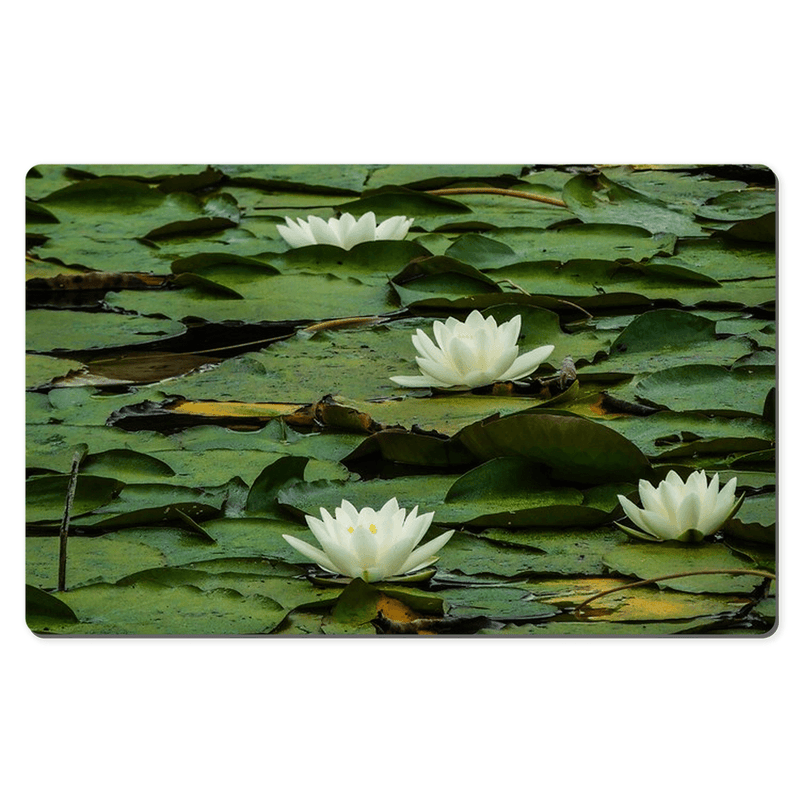 Desk Mat - Water Lilies on Dromoland Lough, County Clare - James A. Truett - Moods of Ireland - Irish Art