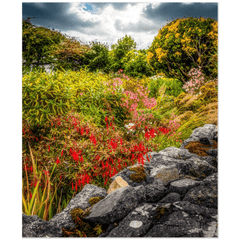 Print - Wildflower Garden, Ballyvaughan, County Clare - Moods of Ireland