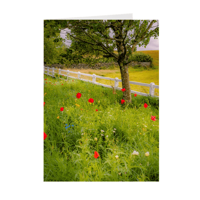 Folded Note Cards - Poppy Field in Ballynacally, County Clare - James A. Truett - Moods of Ireland - Irish Art