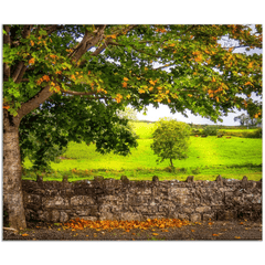 Print - Changing Season in the Irish Countryside, County Clare - Moods of Ireland