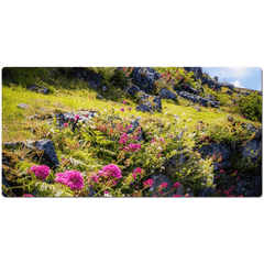 Desk Mat - Burren Wildflowers and Limestone, County Clare - James A. Truett - Moods of Ireland - Irish Art