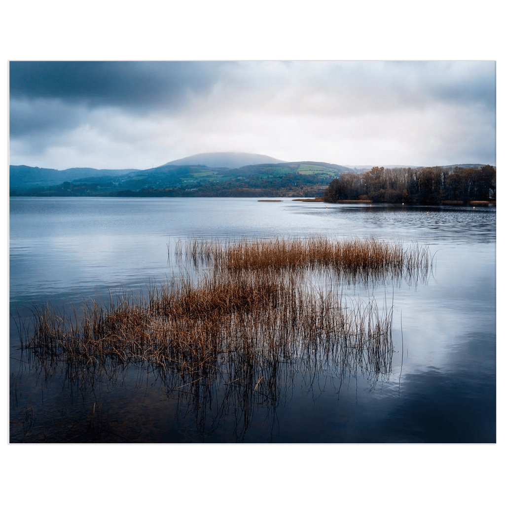 Print - Reeds and Waters of Lough Derg, Ireland - Moods of Ireland