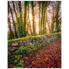 Print - Winter Sun at Newhall Estate, County Clare