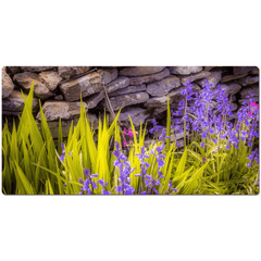 Desk Mat - Spring Bluebells and Stone Fence, County Clare - James A. Truett - Moods of Ireland - Irish Art