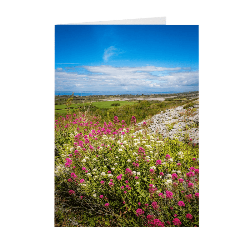 Folded Note Cards - Burren View to Galway Bay - James A. Truett - Moods of Ireland - Irish Art