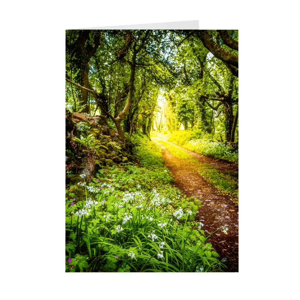 Folded Note Cards - County Clare path lined with Wild Garlic and Wildflowers - James A. Truett - Moods of Ireland - Irish Art