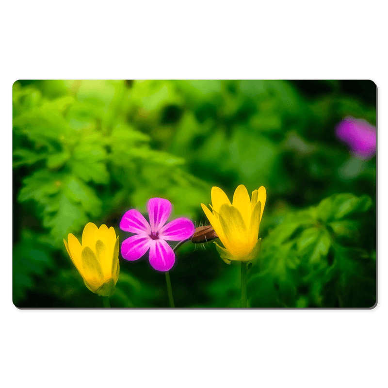 Desk Mat - Wildflowers at Thoor Ballylee, County Galway, Ireland - James A. Truett - Moods of Ireland - Irish Art