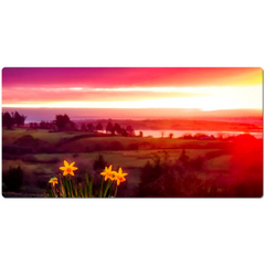 Desk Mat - Daffodil Sunrise in Crovraghan, County Clare, Ireland - James A. Truett - Moods of Ireland - Irish Art