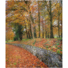 Shower Curtain - Autumn Colours in Killimer, County Clare - James A. Truett - Moods of Ireland - Irish Art