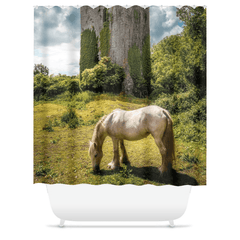 Shower Curtain - Ballygriffy Castle, County Clare - James A. Truett - Moods of Ireland - Irish Art