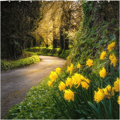 Shower Curtain - Irish Spring Country Road, County Clare - James A. Truett - Moods of Ireland - Irish Art