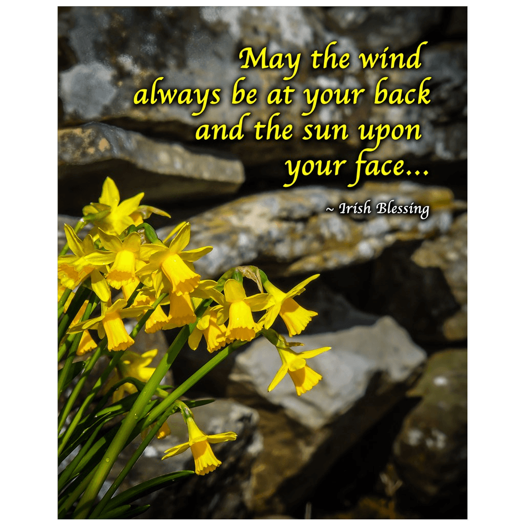 Print - Irish Blessing with Daffodils and Stone Wall - James A. Truett - Moods of Ireland - Irish Art