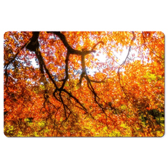 Desk Mat - Under the Autograph Tree at Coole Park, County Galway - James A. Truett - Moods of Ireland - Irish Art