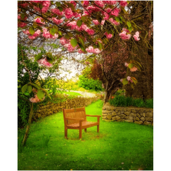 Print - Bench under Cherry Blossoms, Quin, County Clare - James A. Truett - Moods of Ireland - Irish Art