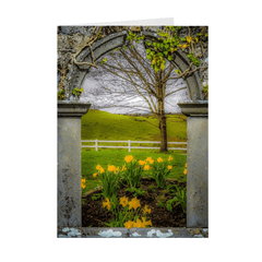 Folded Note Cards - Irish Spring in Ballynacally, County Clare - James A. Truett - Moods of Ireland - Irish Art