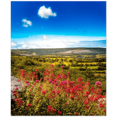 Print - Summer Burren Vista from Aillwee Cave, County Clare - James A. Truett - Moods of Ireland - Irish Art
