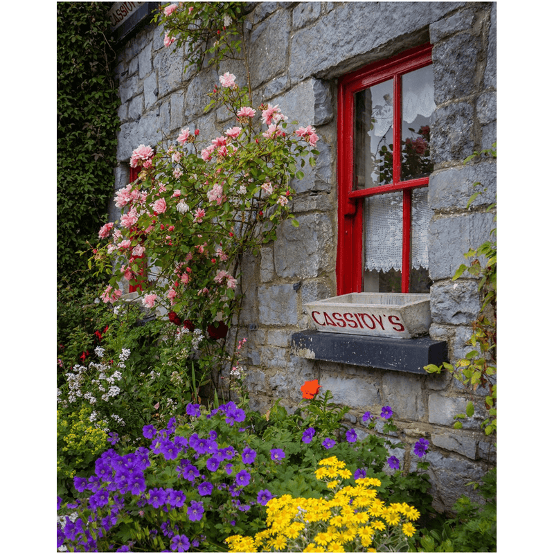 Ireland Print - Flowers at Cassidy's Pub, Carran, County Clare - James A. Truett - Moods of Ireland - Irish Art