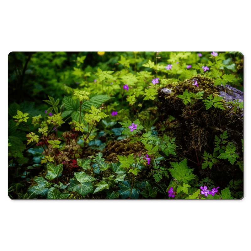 Desk Mat - A Carpet of Herb Robert Wildflowers, Ballylee, County Galway - James A. Truett - Moods of Ireland - Irish Art