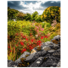 Print - Wildflower Garden, Ballyvaughan, County Clare - Moods of Ireland