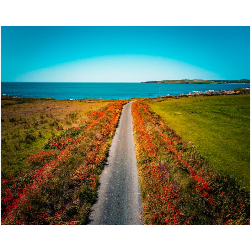Print - Bird's View of Orange Path to Wild Atlantic, County Clare