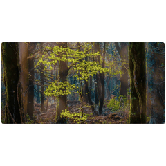 Desk Mat - Misty Irish Spring Forest in Coole Park, County Galway - James A. Truett - Moods of Ireland - Irish Art