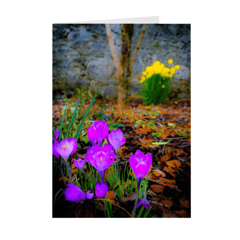 Folded Note Cards - Rebirth of Irish Spring Wildflowers - James A. Truett - Moods of Ireland - Irish Art