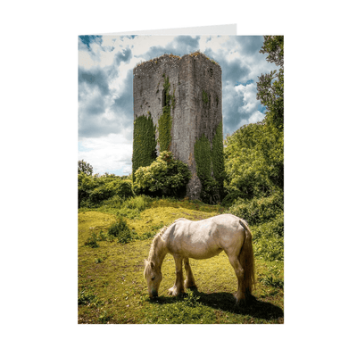Folded Note Cards - Ballygriffy Castle, County Clare - James A. Truett - Moods of Ireland - Irish Art