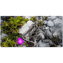 Desk Mat - Lone Wildflower in the Burren Limestone - James A. Truett - Moods of Ireland - Irish Art