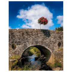Print - Flower Basket over Creegh Bridge, County Clare - Moods of Ireland