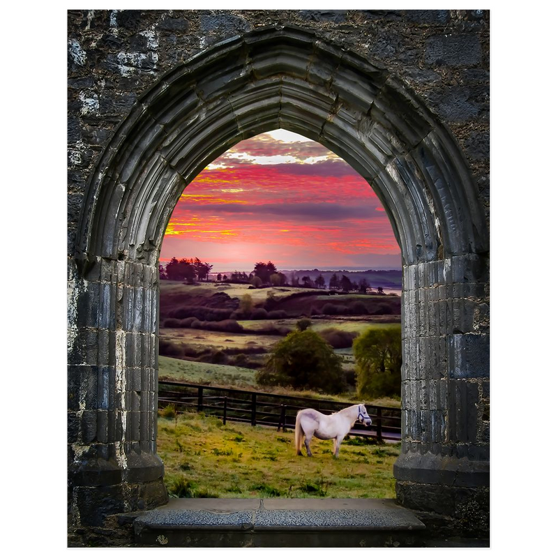 Print – Horse at Sunrise in County Clare