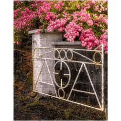 Puzzle - Gate with Pink Roses, Lissycasey, County Clare - James A. Truett - Moods of Ireland - Irish Art