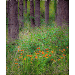 Shower Curtain - Portumna Forest Park Paradise in County Galway - James A. Truett - Moods of Ireland - Irish Art