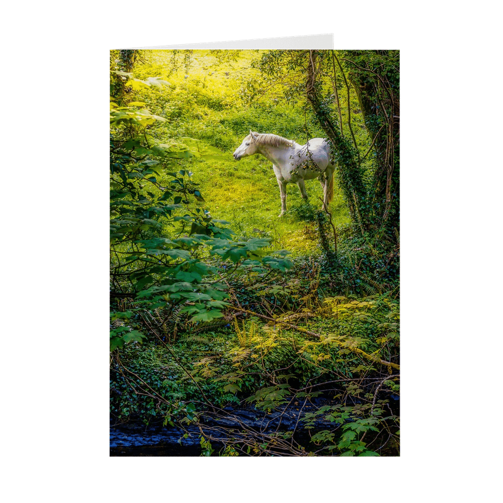 Folded Note Cards - White Horse in 40 Shades of Green, County Clare - James A. Truett - Moods of Ireland - Irish Art