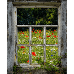 Puzzle - Wildflower- Irish Wildflower Meadow framed by Weathered Window, County Clare - James A. Truett - Moods of Ireland - Irish Art