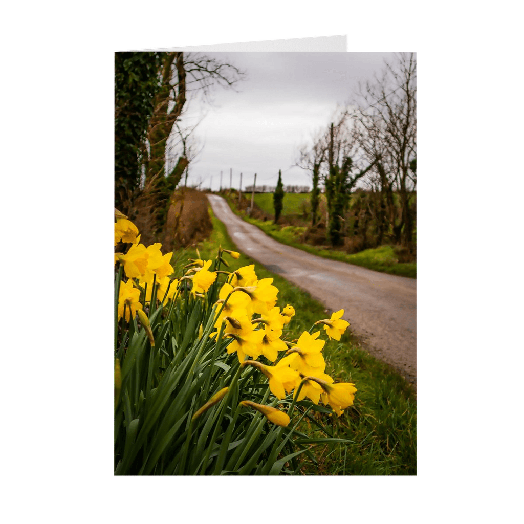 Folded Note Cards - Irish Spring Daffodils on County Clare Country Road - James A. Truett - Moods of Ireland - Irish Art