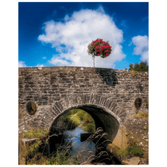 Print - Flower Basket over Creegh Bridge, County Clare - Moods of Ireland