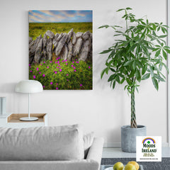 Canvas Wrap - Bloody Cranes-bill Wildflowers in the Burren - James A. Truett - Moods of Ireland - Irish Art