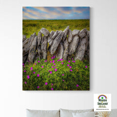 Canvas Wrap - Bloody Cranes-bill Wildflowers in the Burren - James A. Truett - Moods of Ireland - Irish Art