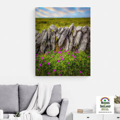 Canvas Wrap - Bloody Cranes-bill Wildflowers in the Burren - James A. Truett - Moods of Ireland - Irish Art