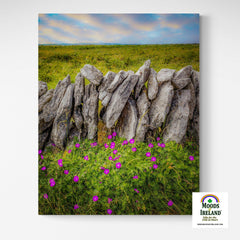 Canvas Wrap - Bloody Cranes-bill Wildflowers in the Burren - James A. Truett - Moods of Ireland - Irish Art