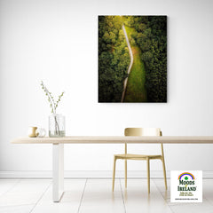 Canvas Wrap - Forest Path at Lough Graney, County Clare - James A. Truett - Moods of Ireland - Irish Art